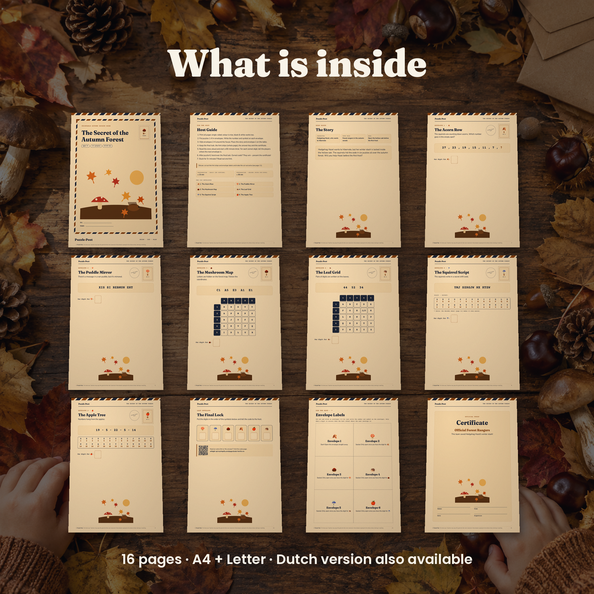 The Secret of the Autumn Forest – what’s inside: story, puzzles, hint cards and certificate