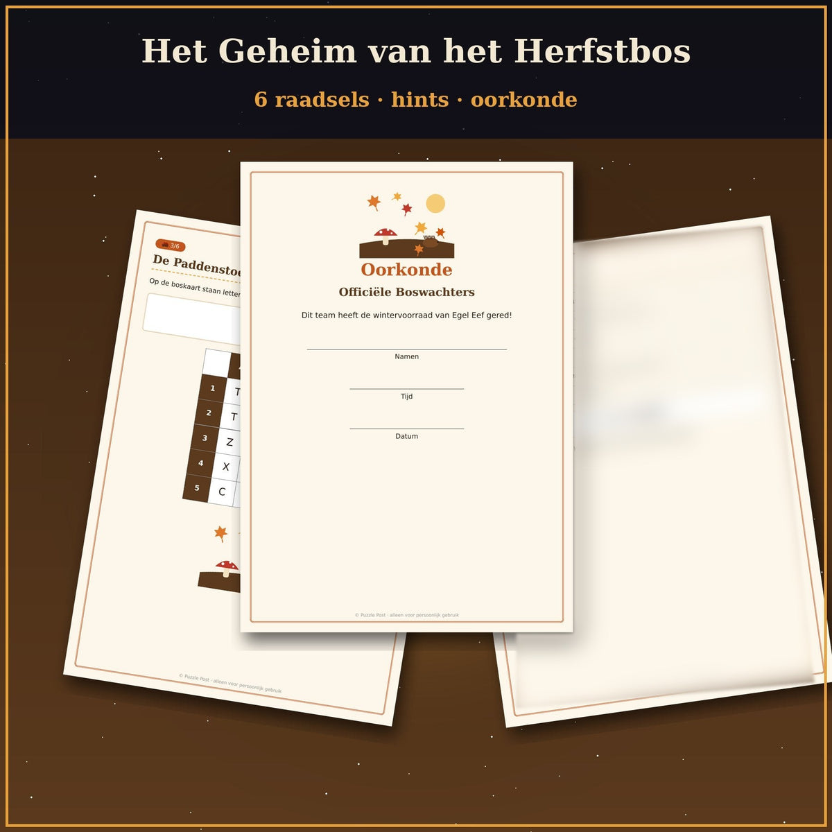 Raadsels, hintkaarten en oorkonde